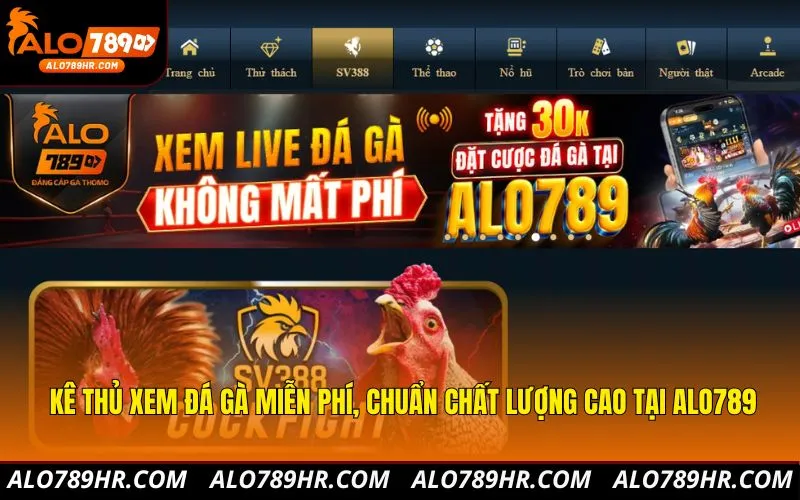 Kê thủ xem đá gà miễn phí, chuẩn chất lượng cao tại ALO789