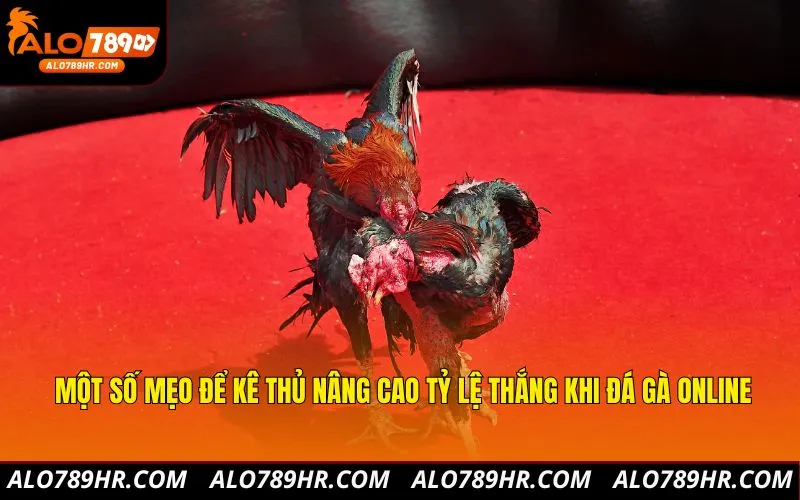 Một số mẹo để kê thủ nâng cao tỷ lệ thắng khi đá gà online