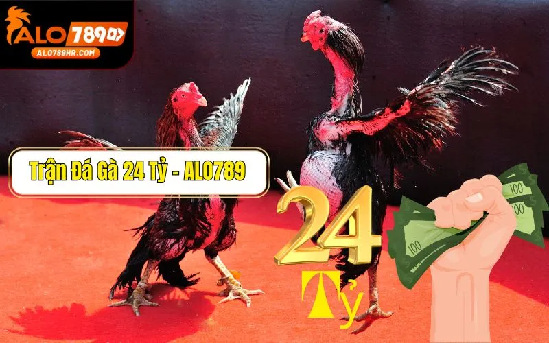 Hé lộ thông tin trận đá gà 24 tỷ thu hút mọi kê thủ